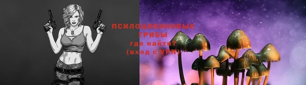 синтетический гашиш Алексин