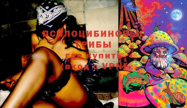 винт Снежногорск