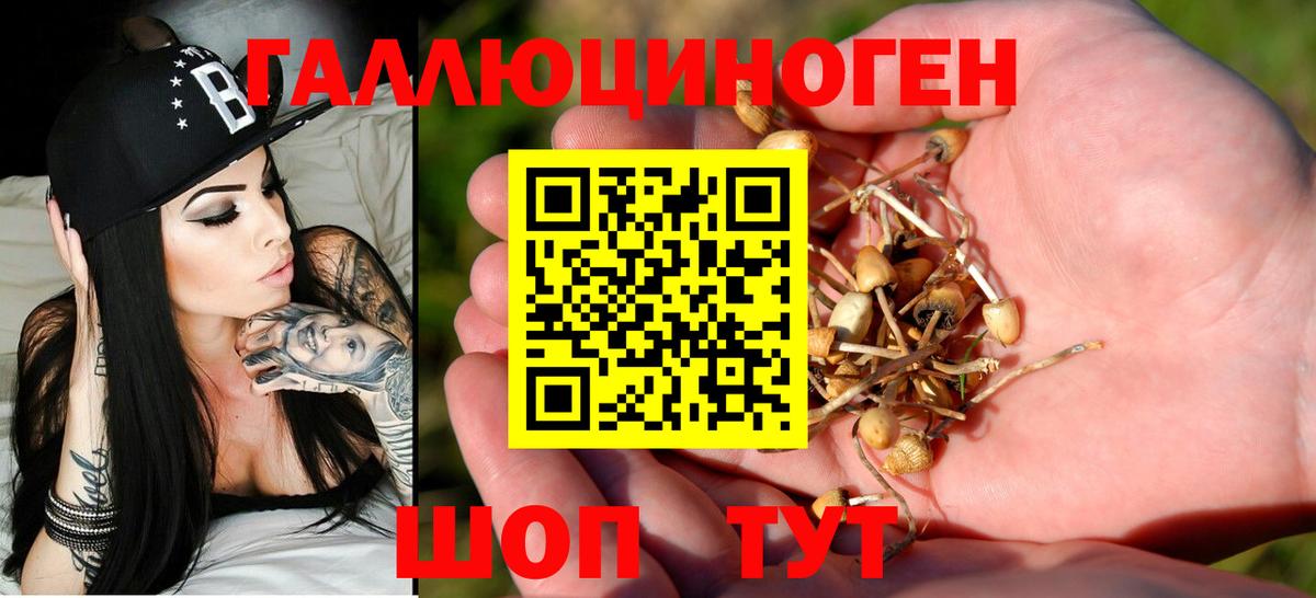 Галлюциногенные грибы Psilocybine cubensis  Вход с VPN  Ахтубинск  Галлюциногенные грибы прущие грибы 